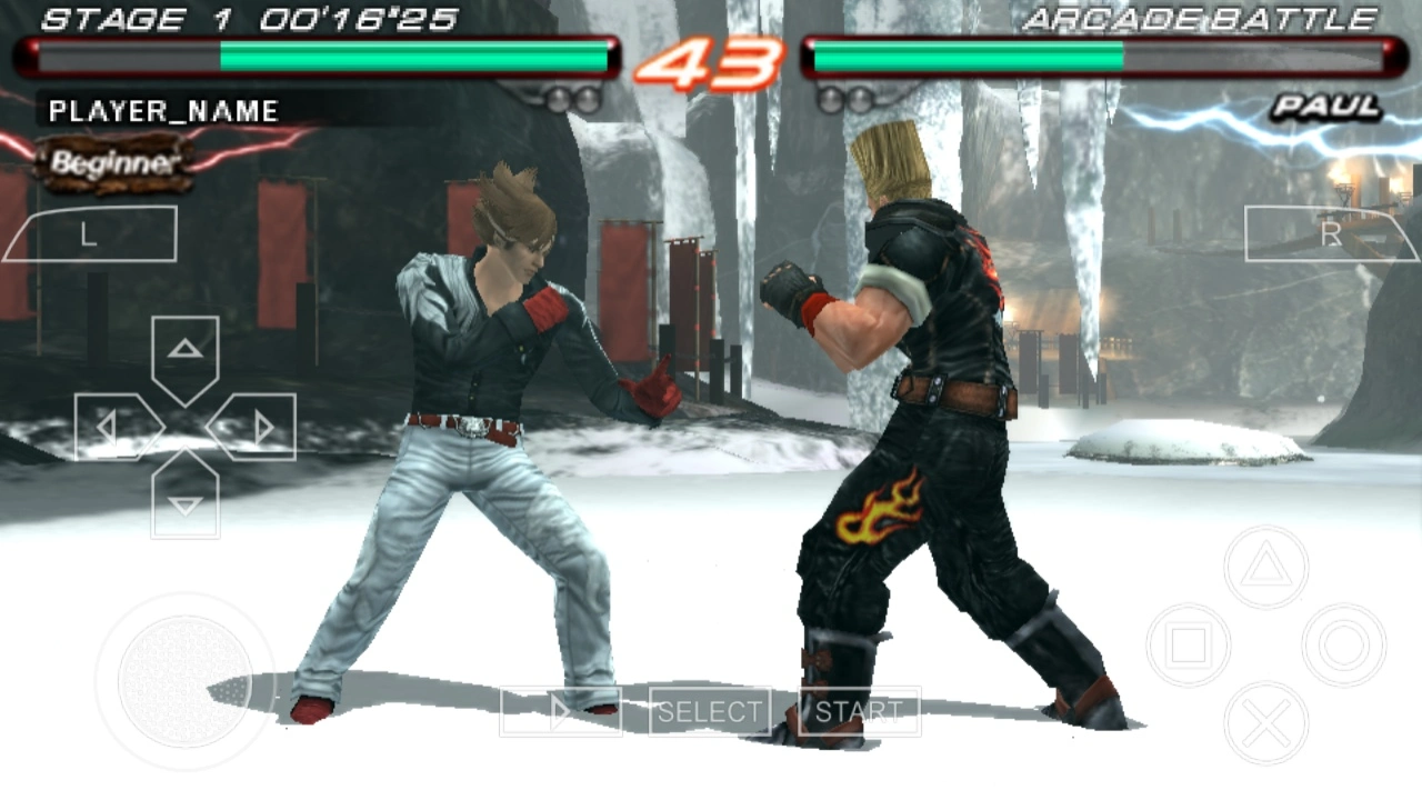 Dolphin Emulator Screenshot 1